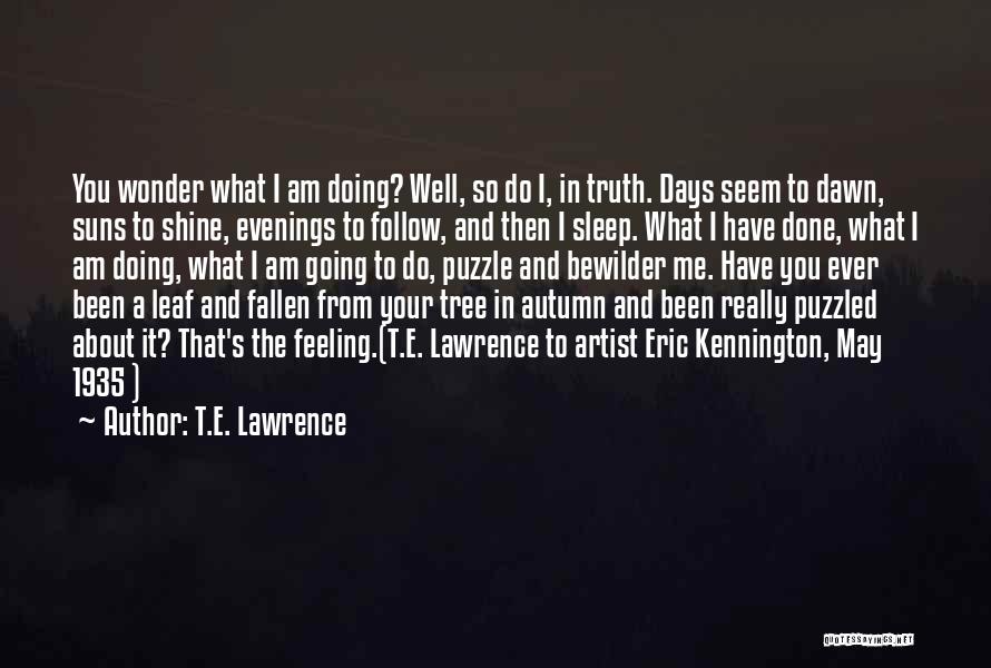 T.E. Lawrence Quotes 1876549