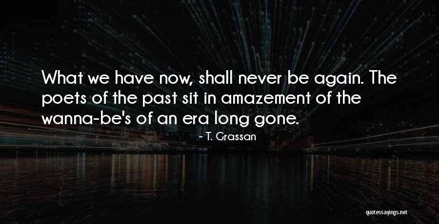 T. Grassan Quotes 2062979