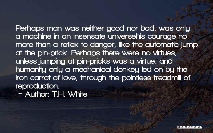 T.H. White Quotes 1357515