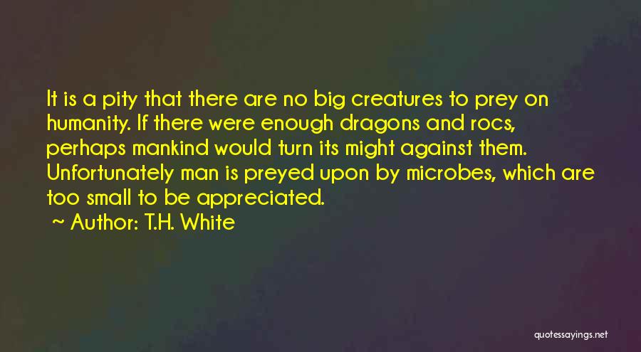 T.H. White Quotes 1970770