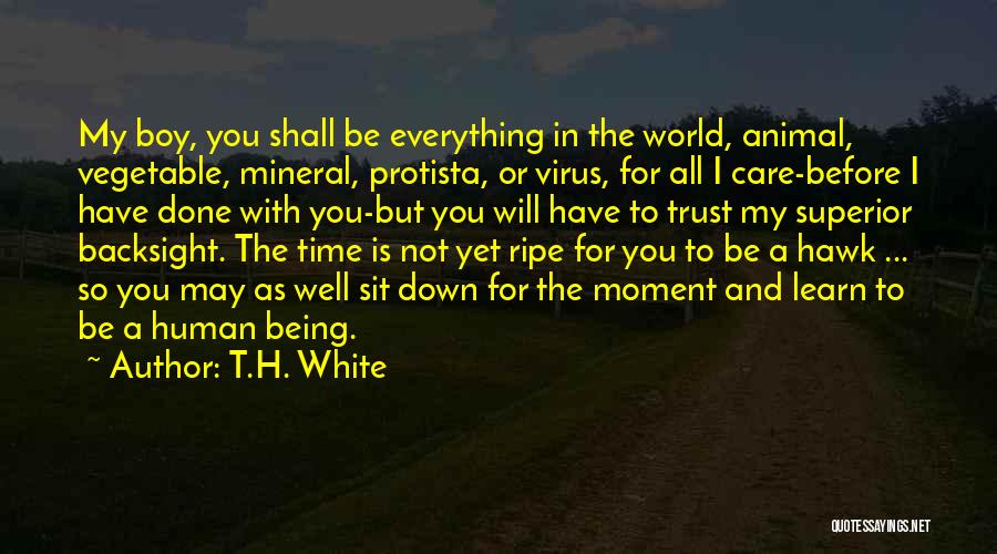 T.H. White Quotes 247912