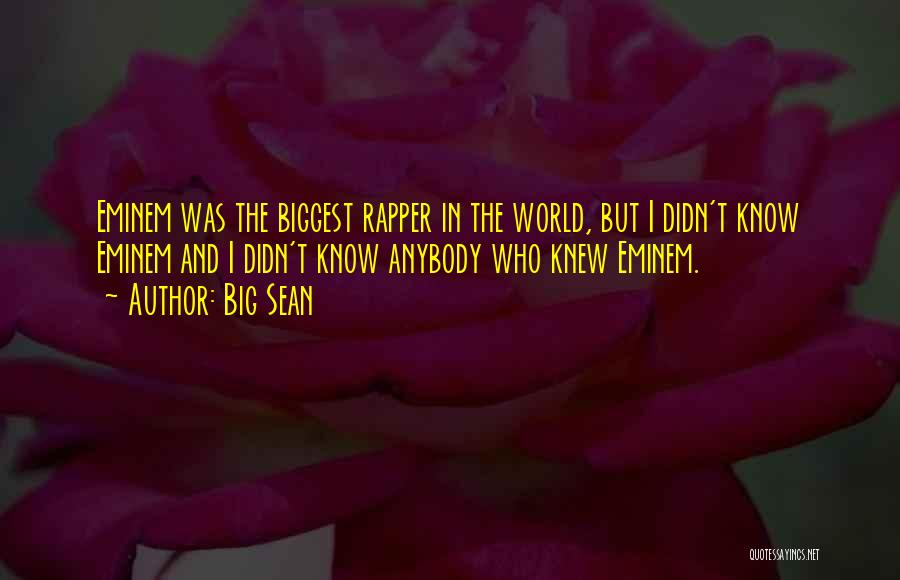 T.i.p Rapper Quotes By Big Sean