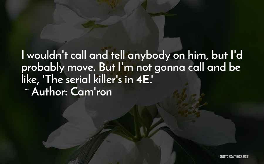 T.i.p Rapper Quotes By Cam'ron