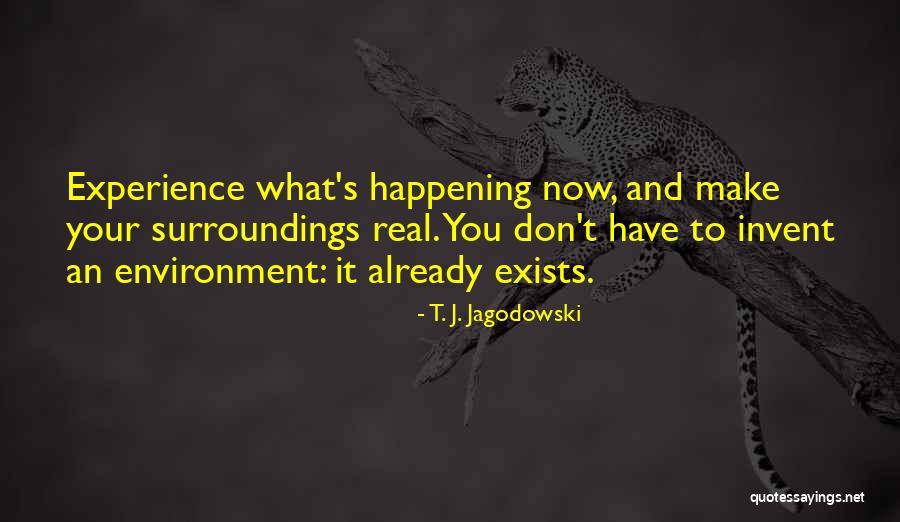 T. J. Jagodowski Quotes 1028066 T. J. Jagodowski Quotes 1028066