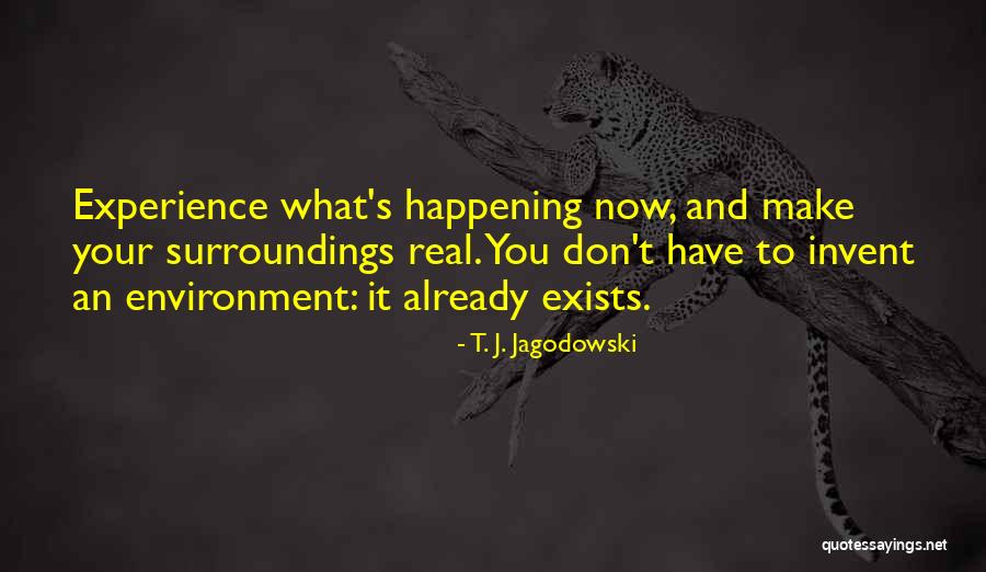 T. J. Jagodowski Quotes 1028066