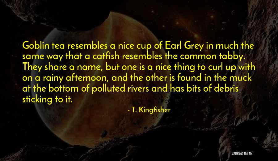T. Kingfisher Quotes 1069309 T. Kingfisher Quotes 1069309