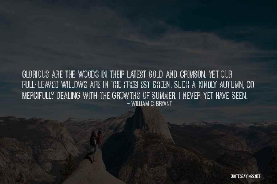 T Mad S A Feh Rh Z Ellen 1 Videa Quotes By William C. Bryant T Mad S A Feh Rh Z Ellen 1 Videa Quotes By William C. Bryant