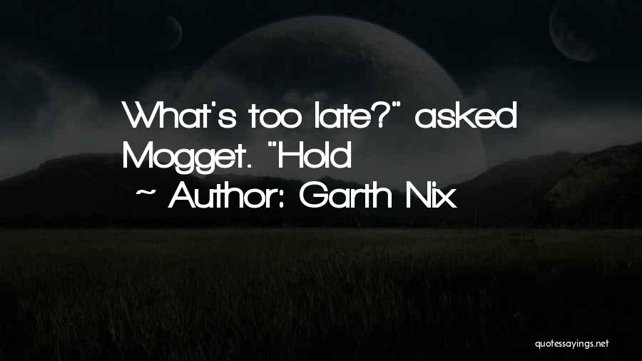 T Rocsik Quotes By Garth Nix