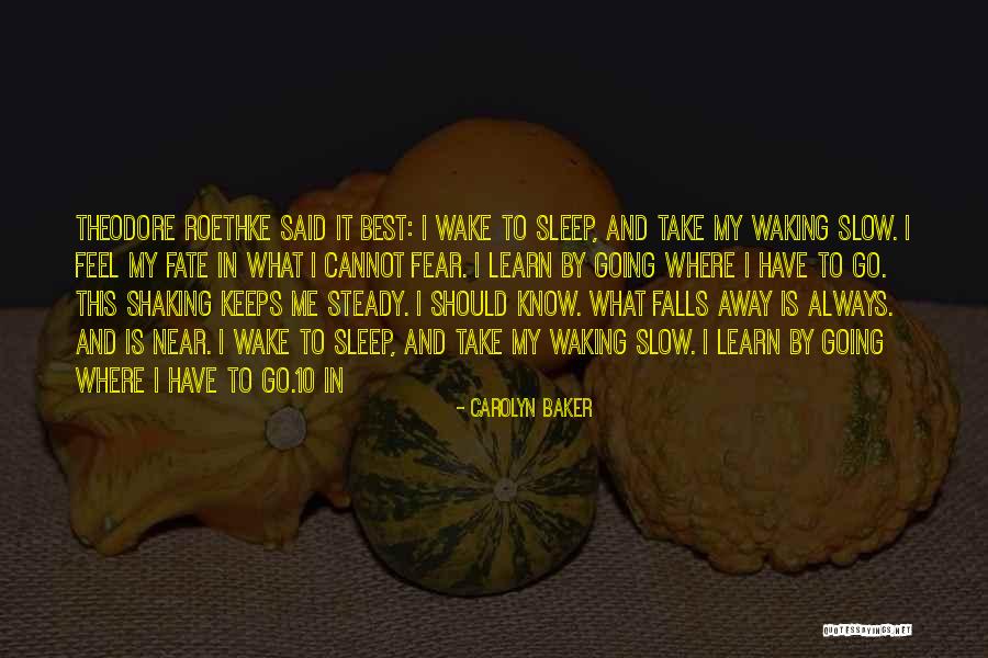 T Roethke Quotes By Carolyn Baker T Roethke Quotes By Carolyn Baker