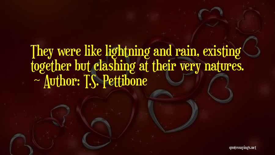 T.S. Pettibone Quotes 1276423