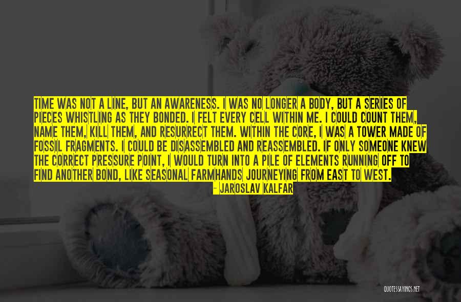 T Series Sub Count Quotes By Jaroslav Kalfar T Series Sub Count Quotes By Jaroslav Kalfar