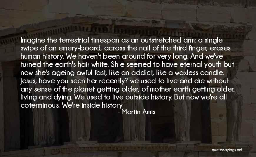 T. The Terrestrial Quotes By Martin Amis