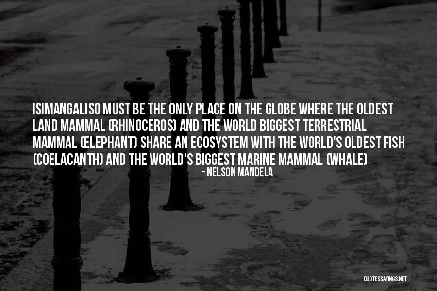 T. The Terrestrial Quotes By Nelson Mandela