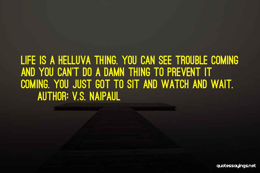 T.v Quotes By V.S. Naipaul