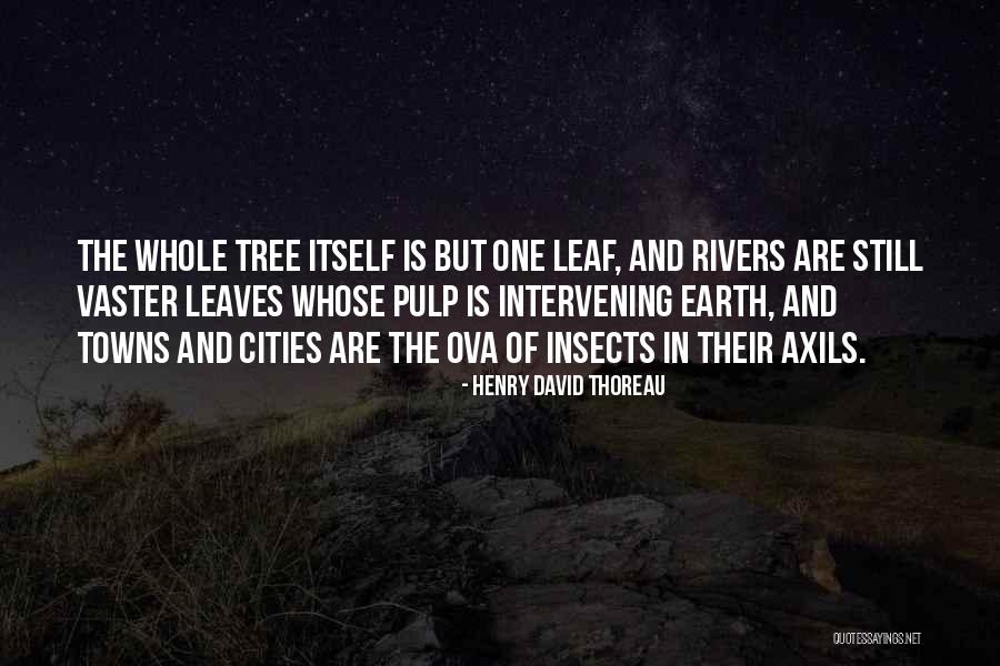 Tabajaras Guitar Quotes By Henry David Thoreau Tabajaras Guitar Quotes By Henry David Thoreau