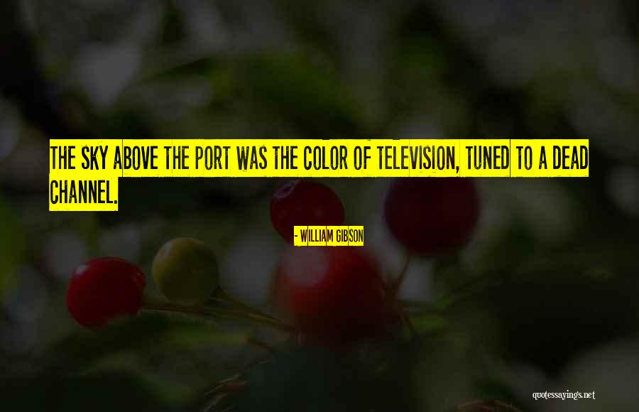 Tabandeh Boutique Quotes By William Gibson