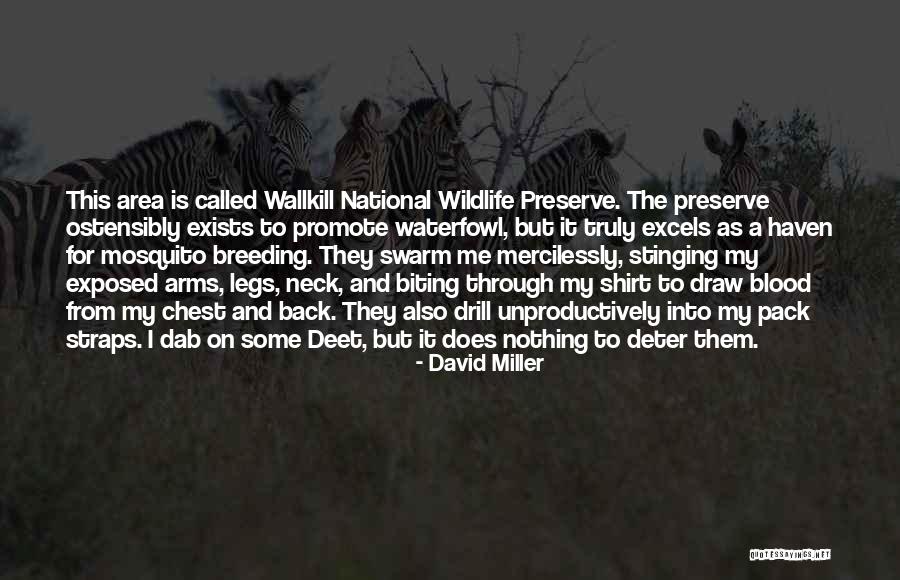 Tabaraka Surat Quotes By David Miller Tabaraka Surat Quotes By David Miller