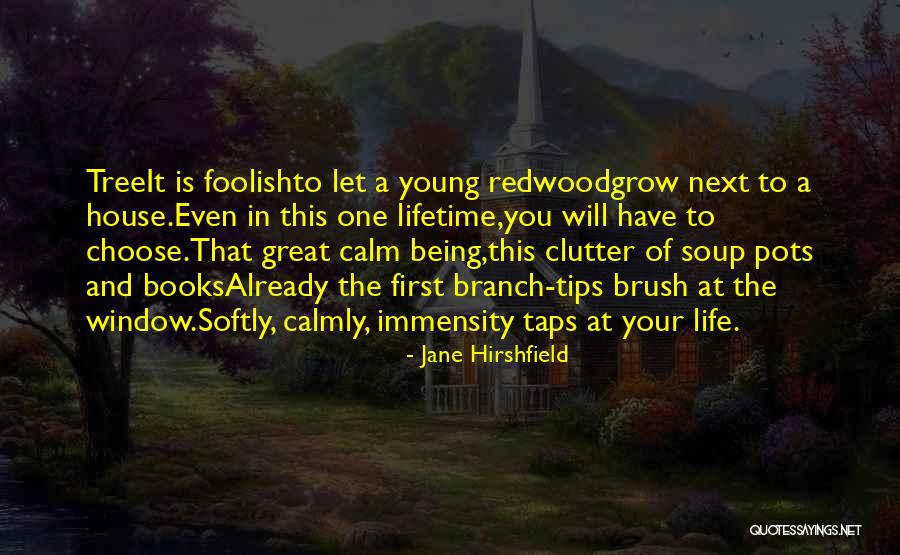 Tabarek Quotes By Jane Hirshfield Tabarek Quotes By Jane Hirshfield