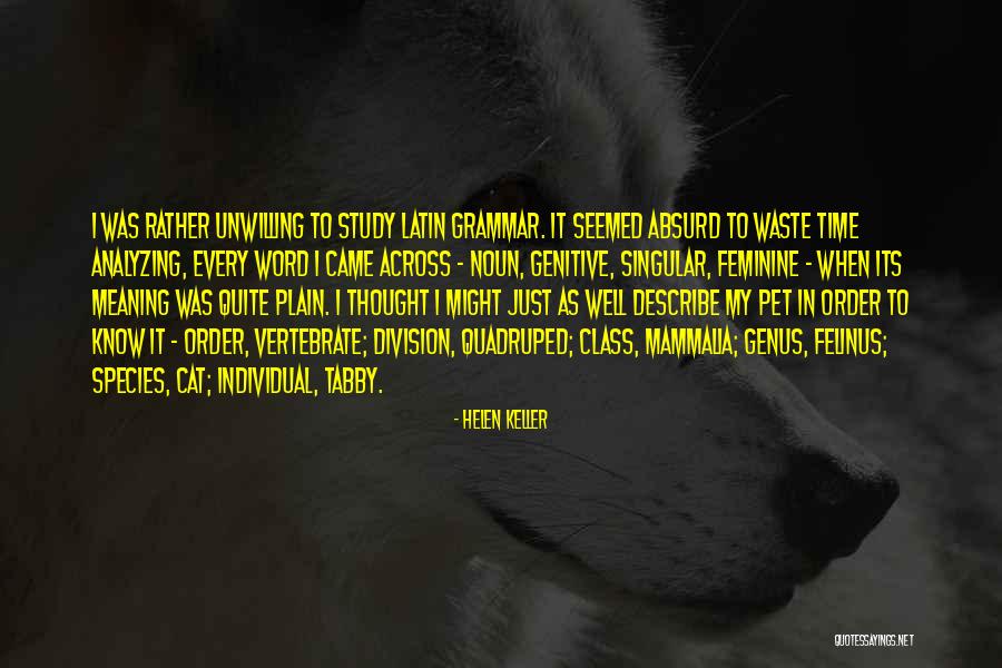 Tabby Cat Quotes By Helen Keller