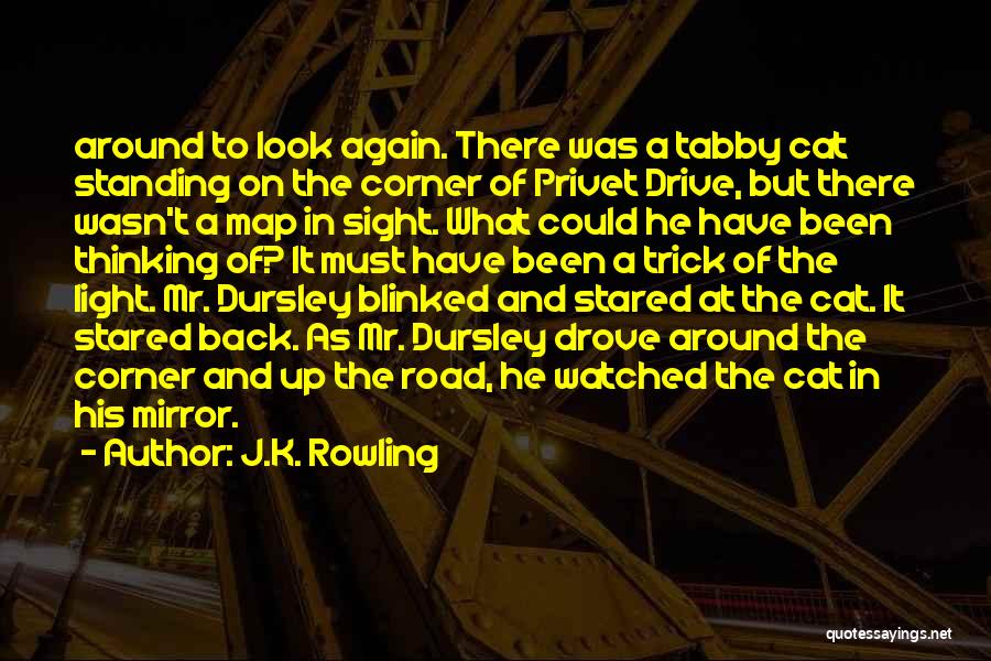 Tabby Cat Quotes By J.K. Rowling