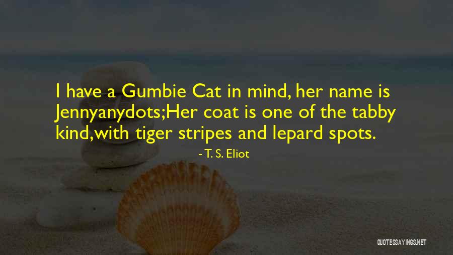 Tabby Cat Quotes By T. S. Eliot