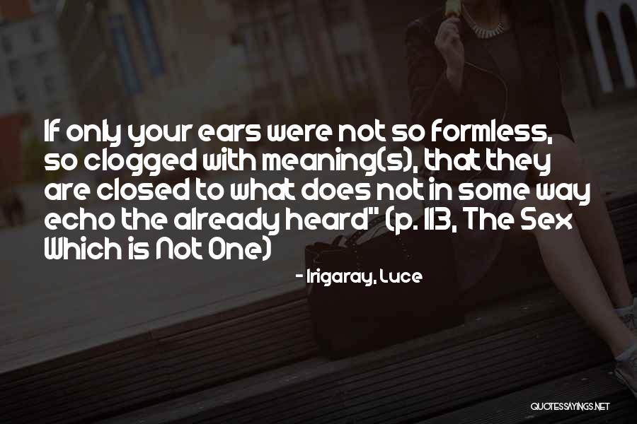Tabernero Borgona Quotes By Irigaray, Luce Tabernero Borgona Quotes By Irigaray, Luce