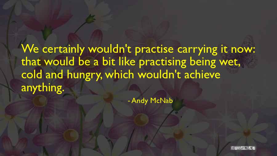 Tabesh Alireza Quotes By Andy McNab Tabesh Alireza Quotes By Andy McNab