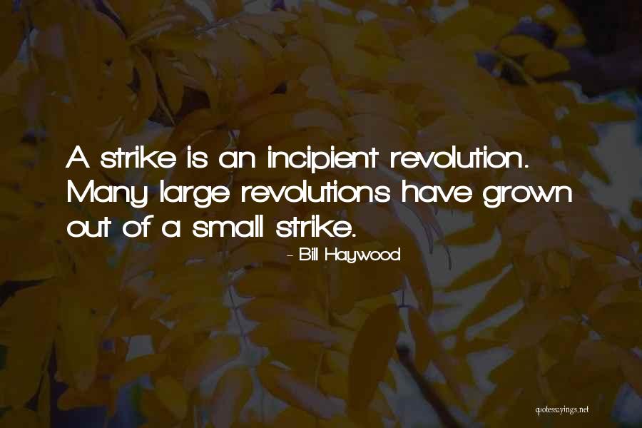 Tabetha Brown Quotes By Bill Haywood Tabetha Brown Quotes By Bill Haywood