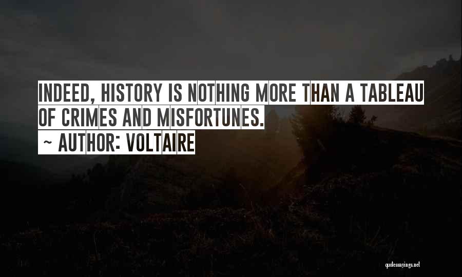 Tableau Quotes By Voltaire
