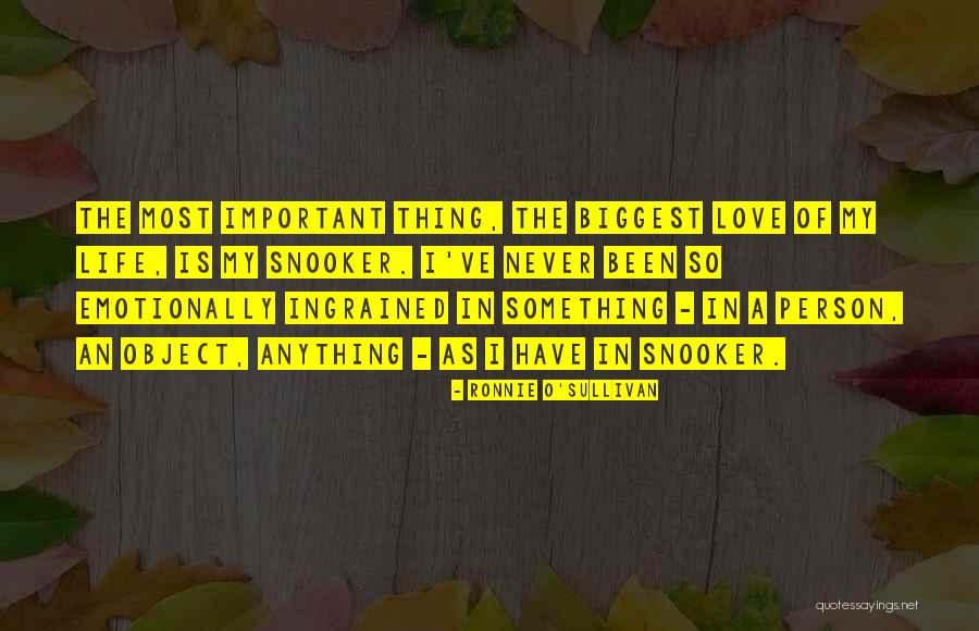 Tablouri Decorative Quotes By Ronnie O'Sullivan Tablouri Decorative Quotes By Ronnie O'Sullivan