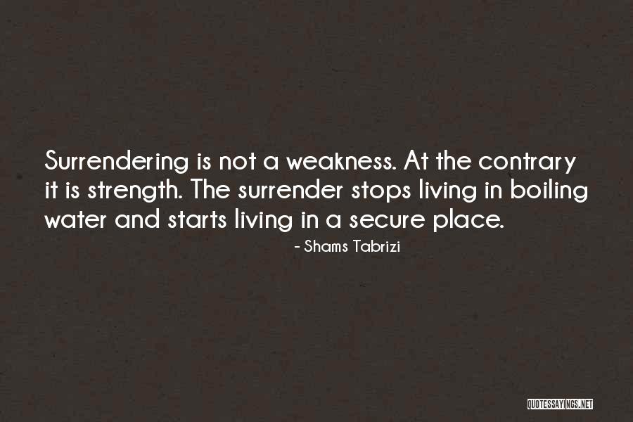 Tabrizi Quotes By Shams Tabrizi