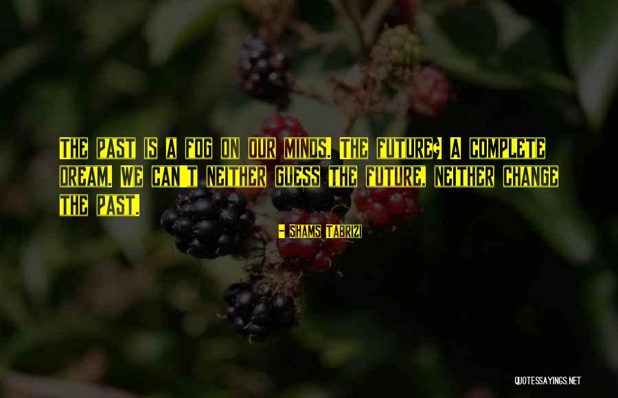 Tabrizi Quotes By Shams Tabrizi Tabrizi Quotes By Shams Tabrizi