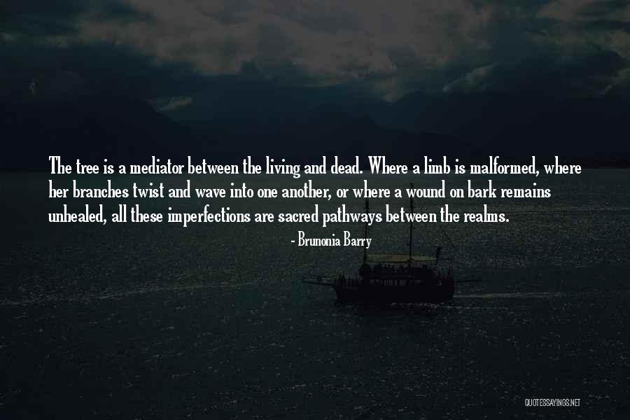 Tacconi Kimberly Quotes By Brunonia Barry Tacconi Kimberly Quotes By Brunonia Barry