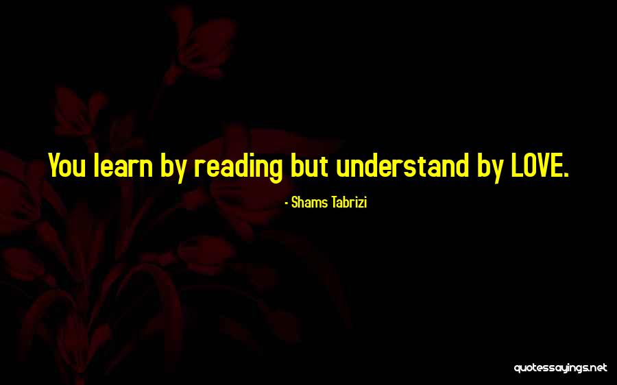 Tachikawa Japanese Quotes By Shams Tabrizi Tachikawa Japanese Quotes By Shams Tabrizi