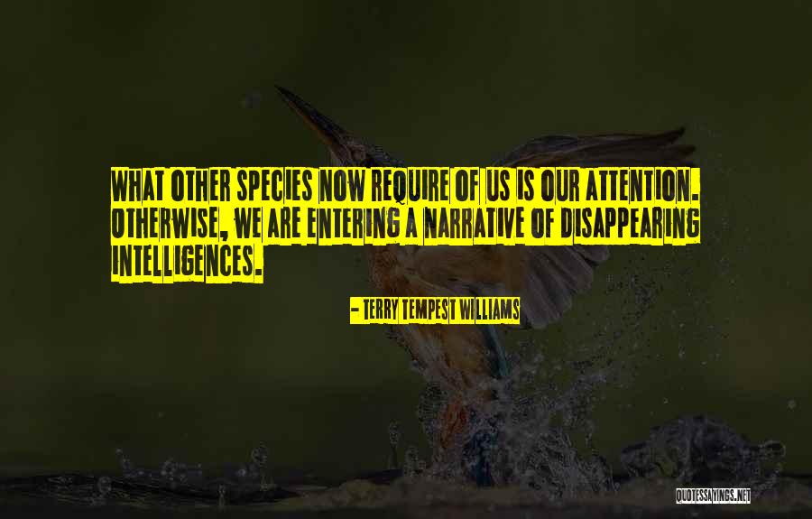 Tachovskydenik Quotes By Terry Tempest Williams Tachovskydenik Quotes By Terry Tempest Williams