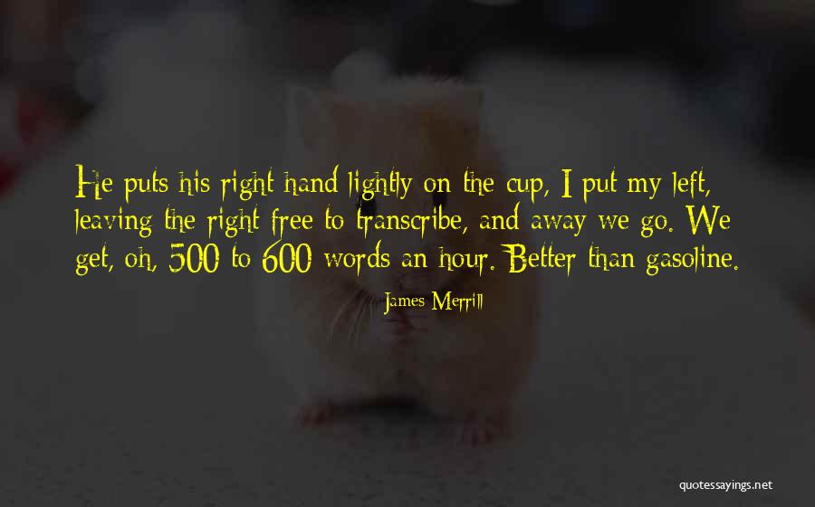 Taciturnity Mean Quotes By James Merrill Taciturnity Mean Quotes By James Merrill