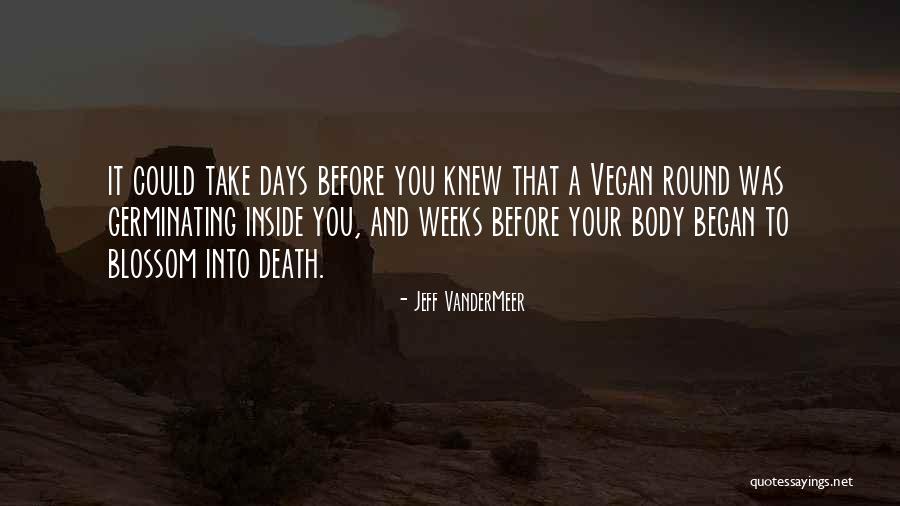 Tackle And Hollar Quotes By Jeff VanderMeer Tackle And Hollar Quotes By Jeff VanderMeer
