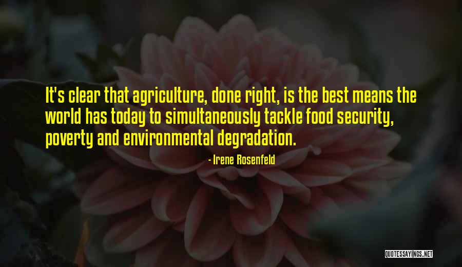 Tackle Today Quotes By Irene Rosenfeld Tackle Today Quotes By Irene Rosenfeld