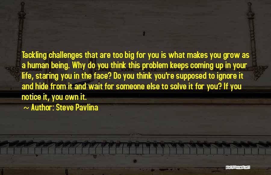 Tackling Life Quotes By Steve Pavlina