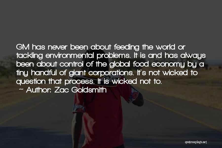 Tackling Problems Quotes By Zac Goldsmith