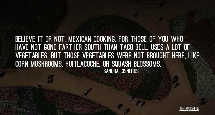 Taco Bell Quotes By Sandra Cisneros Taco Bell Quotes By Sandra Cisneros