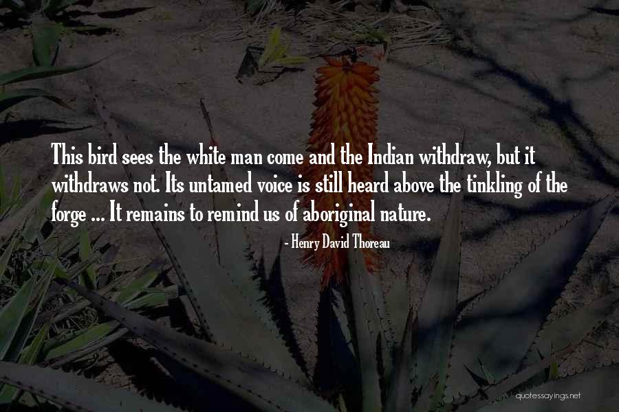 Tactfully In A Sentence Quotes By Henry David Thoreau Tactfully In A Sentence Quotes By Henry David Thoreau