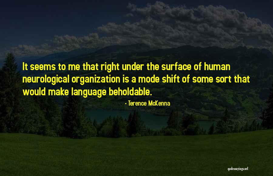 Tactical Vest Quotes By Terence McKenna