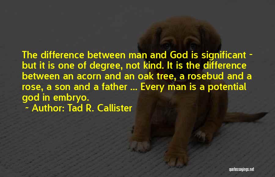 Tad R. Callister Quotes 1998146