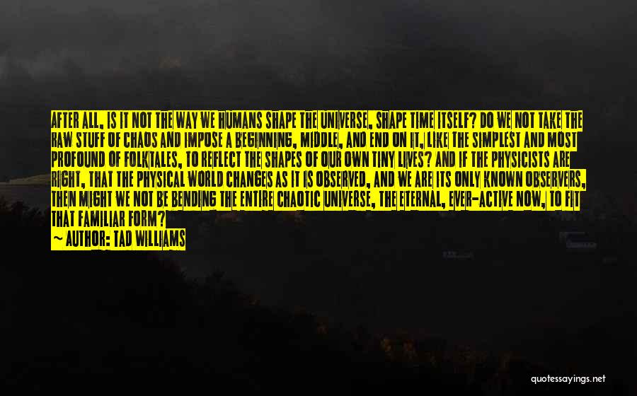 Tad Williams Quotes 1596218