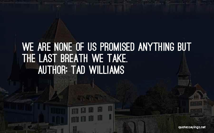 Tad Williams Quotes 1701847