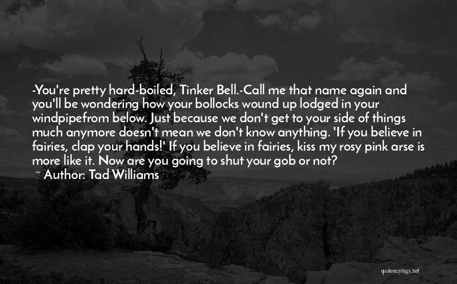 Tad Williams Quotes 1788893