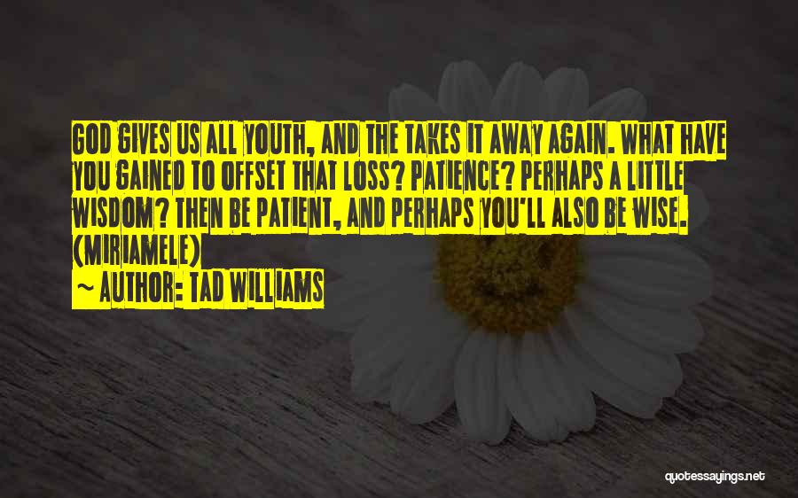 Tad Williams Quotes 1934486