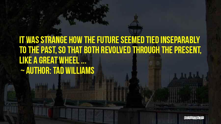 Tad Williams Quotes 1978612