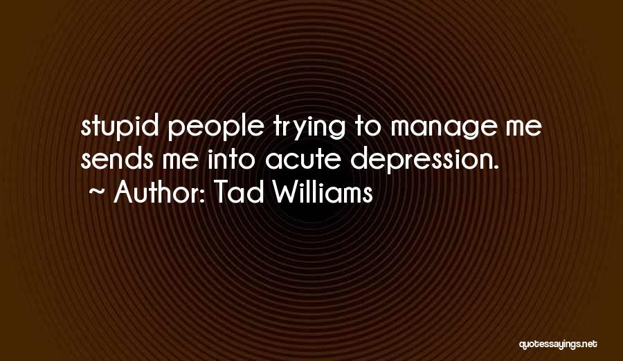 Tad Williams Quotes 2145069